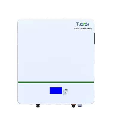 Wall Mounted ESS Battery Storage Lightweight Lithium Lifepo4 Integrated BMS