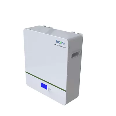 Wall Mounted ESS Battery Storage Lightweight Lithium Lifepo4 Integrated BMS