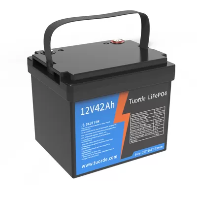 BMS Lead Acid Replacement Battery 12V 42Ah Deep Cycle Power Storage