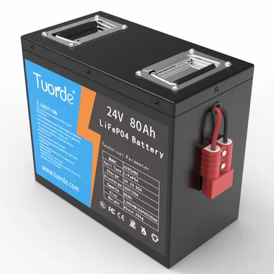 Lithium Ion LiFePo4 Battery 24V 80Ah AGV RGV Robot Power Supply