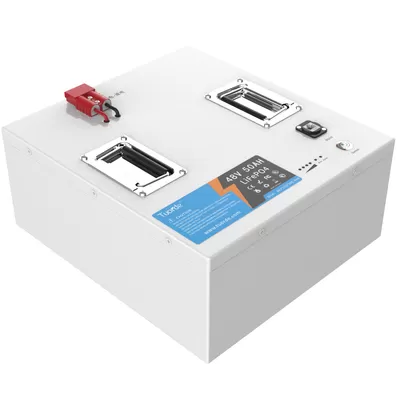 48V Lifepo4 Battery Pack  50Ah Electric Forklift AGV Battery Pack