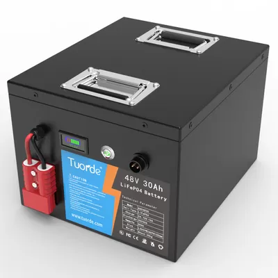 Rechargeable Custom Lithium Battery Packs Long Cycle Life 48V 30Ah For AGV Forklift